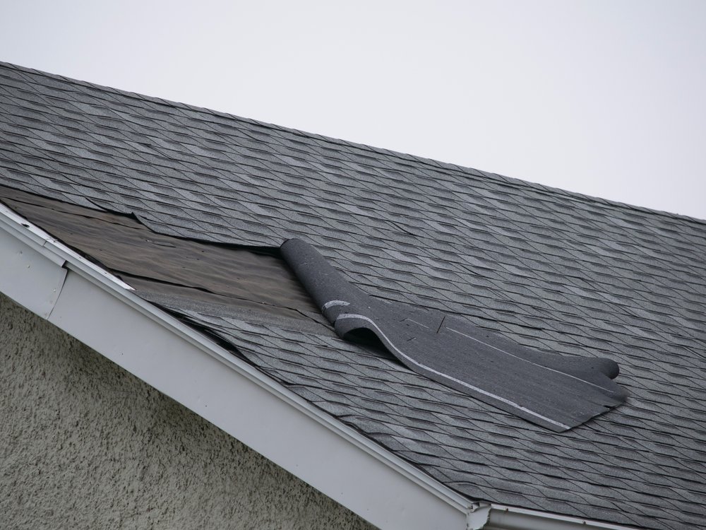 Missing and lifted asphalt shingles after a Vermont windstorm