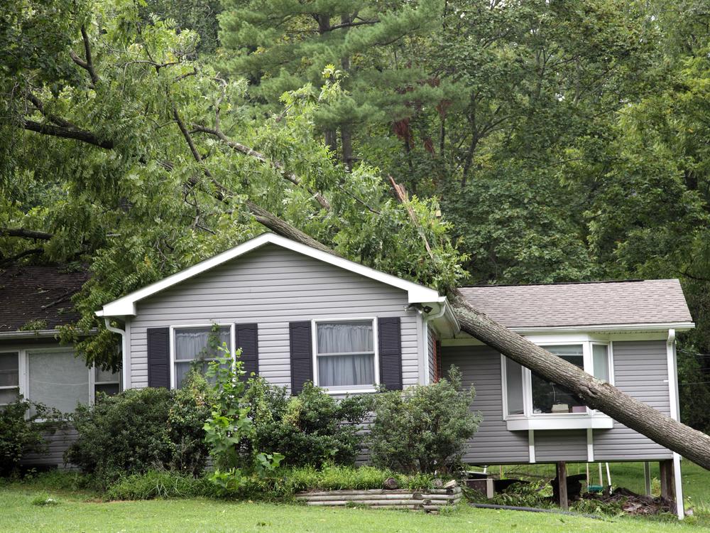 Storm damage to a Vermont roof with a fallen tree limb